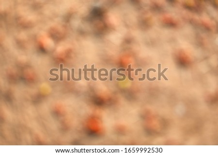 Blurred picture of mud wall texture with bokeh