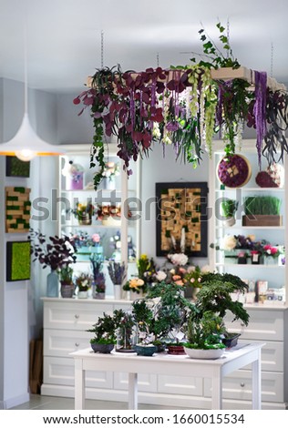 Flowers hanging from chandelier, bonsai on the table in beautiful cafe