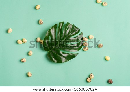 Greeting composition from small quail eggs and green tropical leaf plant on a pastel turquoise background.