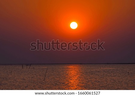 The sunset on the sea in the summer                 
