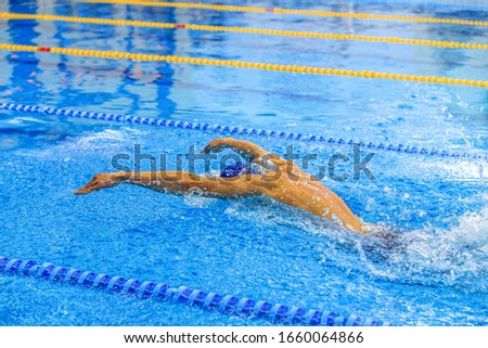 athlete swimmer butterfly stroke swim in swimming competition Royalty-Free Stock Photo #1660064866