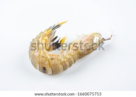 One fresh pip shrimp on white background	