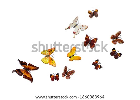 beautiful butterflies with colored patterns on wings isolated on a white background with a flat shadow.