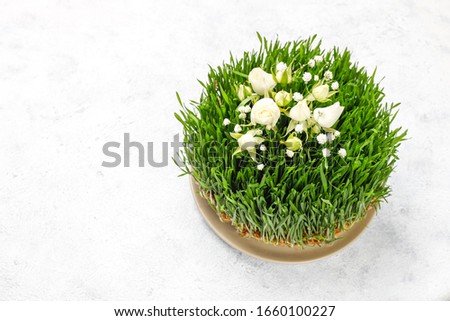 Traditional Azerbaijan holiday Novruz background with green semeni,top view,space for copy