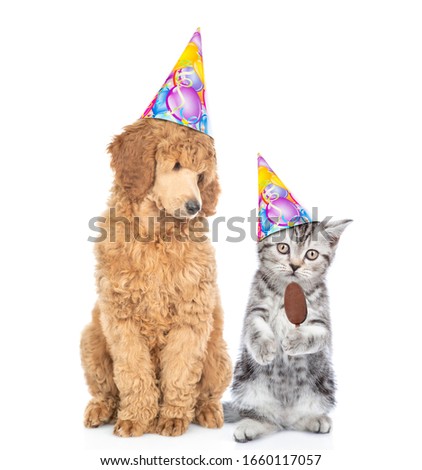 Dog and kitten wearing birthday`s hats. Cat holds ice cream. Isolated on white background.