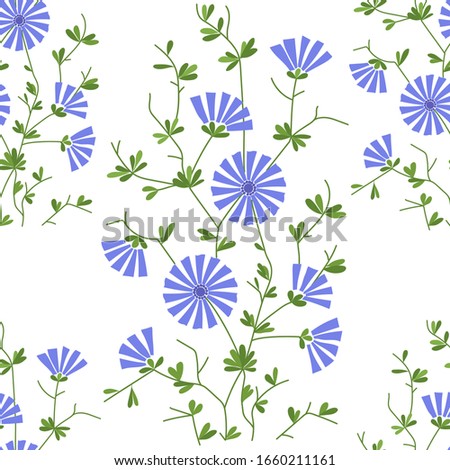 Seamless pattern of colored chicory flowers. Vector illustration.