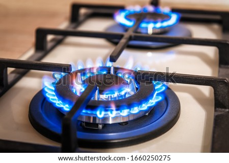 Closeup shot of blue fire from domestic kitchen stove top. Gas cooker with burning flames of propane gas. Industrial resources and economy concept. Royalty-Free Stock Photo #1660250275