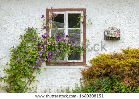 Rustic window on an old  house. with purple flowers. Beautiful backdrop in charming  austrian style 