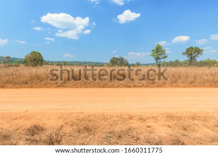View of dirt road in countryside with blue sky Royalty-Free Stock Photo #1660311775