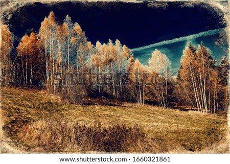Beautiful landscape. birch tree in the foreground image, old photo effect.