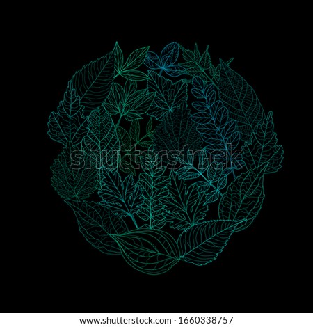 Decorative hand drawn leaves, design elements. Can be used for cards, invitations, banners, posters, print design. Floral background in line art style