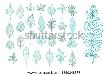 Decorative  hand drawn leaves set, design elements. Can be used for cards, invitations, banners, posters, print design. Floral background in line art style