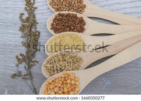 Composition of wooden spoons on which grains and cereals are located. Wheat, rice, buckwheat, millet, oats.