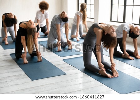 Group of multi-ethnic young people in comfy sportswear performing asana on mats doing Camel Pose Ustrasana, exercise improves posture, spinal flexibility, strengthening back muscles, wellness concept Royalty-Free Stock Photo #1660411627