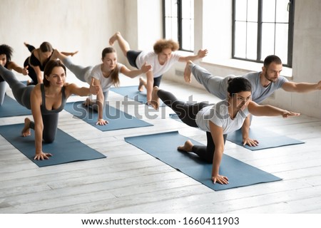 Young attractive Indian ethnicity woman lead yoga class, group of multi-ethnic people wearing sportswear performing Bird Dog Asana, work out process, grey colors, spacious light room, wellness concept Royalty-Free Stock Photo #1660411903