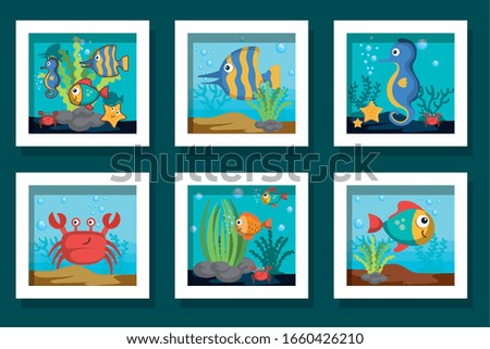 bundle designs of cute sea life icons vector illustration design