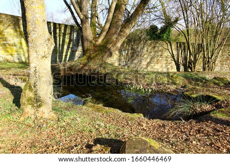 Small Pond in the garden of Kirchberg Monastery in the Black Forest