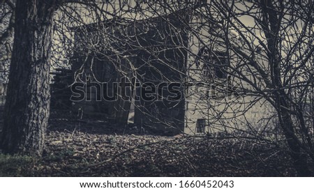 Scary small haunted house in a small countryside village in Italy during a cloudy day. The house is completely sorrounded by thick trees