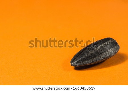Black sunflower seeds in  macro isolated on orange background. Food photo with texture closeup.