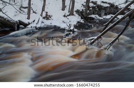 Long exposure photo of rapid. River flowing in cold winter day. Water rich of iron colored red. Branches of fallen  trees in the stream. Estonia, North Europe.