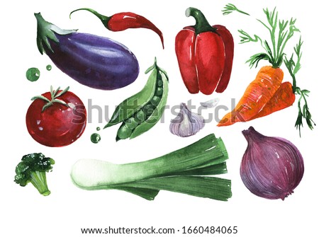 Fresh vegetables hand drawn watercolor illustrations set. Greens collection on white background. Salad ingredients, veggies, organic food, healthy nutrition items aquarelle paintings pack