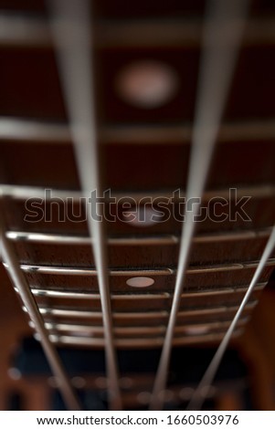 Brown fretboard of a bass guitar. Four metal strings and metal frets. Musical instrument. Low and dense sound. Blurred background.
