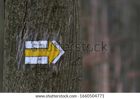 Yellow orientation sign on white arrow shaped arrow on tree bark in european forest, empty copyspace