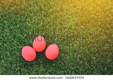red easter egg on lawn green grass artificial, image background of morning springtime concept
