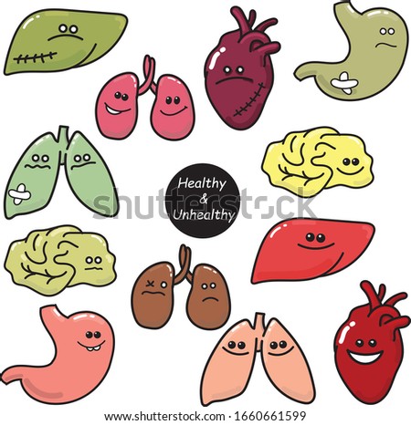 

doodle style vector illustration. a set of internal organs healthy and unhealthy. icons comparison of sick and healthy organs. stomach, liver, heart, lungs, kidneys, brain. flat for children comics