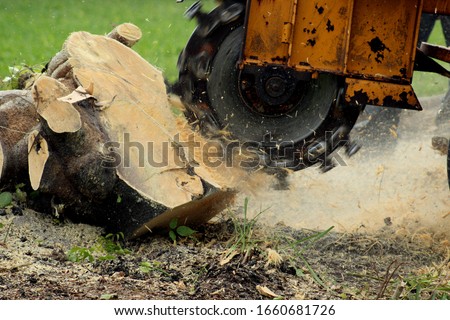 Grinding a Tree Stump for Removal Royalty-Free Stock Photo #1660681726