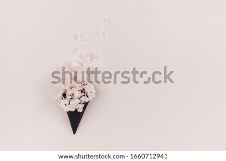 Hydrangea flowers in black ice-cream horn on pastel background with copy space. Creative and moody picture. Top view.