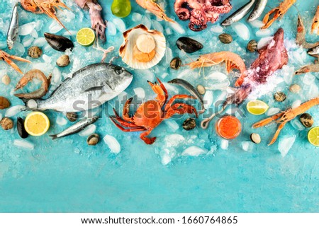 Fish and seafood background with a place for text, a flat lay overhead shot. Sea bream. shrimps, crab, sardines, squid, mussels, octopus and scallops