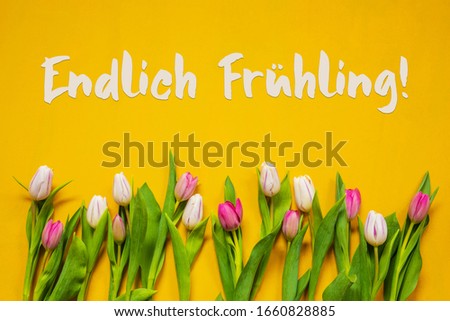 Colorful Tulip, Text Endlich Fruehling Means Finally Spring, Yellow Background