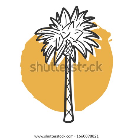 Palm Tree Traditional Doodle. Icons Sketch Hand Made. Design Vector Line Art.