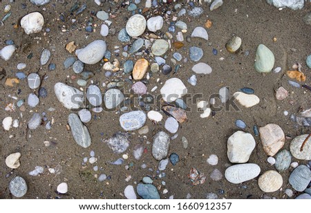 Multicolored stones and gravel on wet river sand