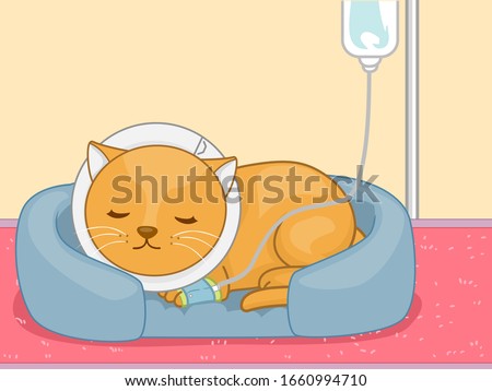 Illustration of a Sick Cat Pet Lying Flat on Its Stomach Wearing Pet Cone Collar and Dextrose in Its Bed