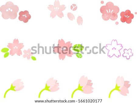 Illustration set of cherry blossom (watercolor)