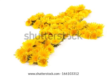 A christian cross made of many dandelion flowers against a white background.