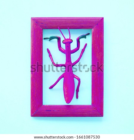 Silicone toy grasshopper in purple frame on blue background