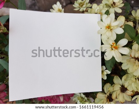 
Photo frame, blank canvas on leaves, flowers, trees, green backgrounds