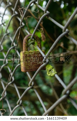 Old rusty moss-covered padlock on a fence