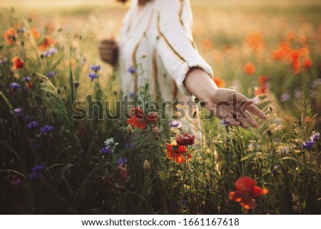 Woman in rustic dress gathering  poppy and wildflowers in sunset light, walking in summer meadow. Atmospheric authentic moment. Copy space. Hand picking up flowers in countryside. Rural slow life Royalty-Free Stock Photo #1661167618
