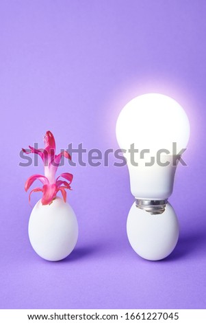 electric battery and luminous led lamp together in a chicken egg shell. the concept