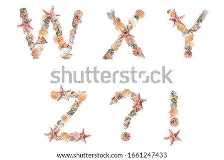 Seashells alphabet, eco abc on white background. Part 5