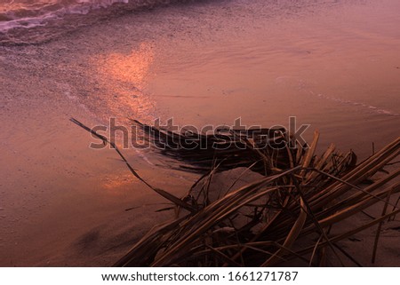 Old coconut leaf and sun reflection in heart shape on the beach.This picture is in pink-brown tone