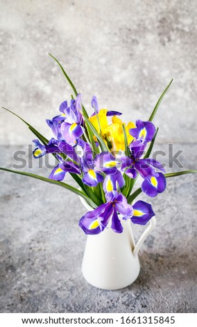 Irises purple are wonderful garden plants. Flowers as a symbol of spring. Festive bouquet on a gray background in white sweatshirt.