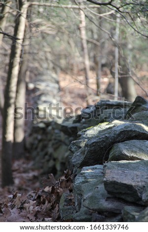 Leaves piled up next to an old stone wall in Connecticut