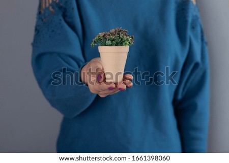 woman hand artificial flower on grey background