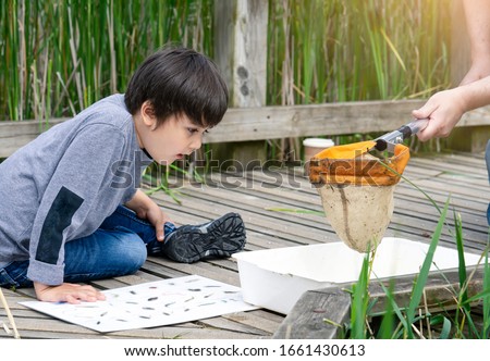 Kid looking at pond wildlife in white tray, Parent and son catching creatures in pond in summer time, Child explorer and learning about wild nature in countryside, Summer camp outdoors activity 