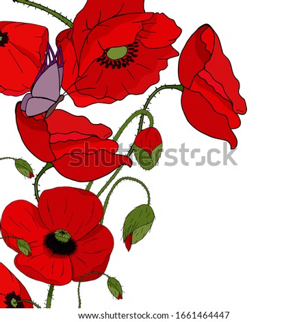 Template for greeting card with red poppies, butterfly and place for text on a white background. Butterfly sits on a flower. Hand drawing.